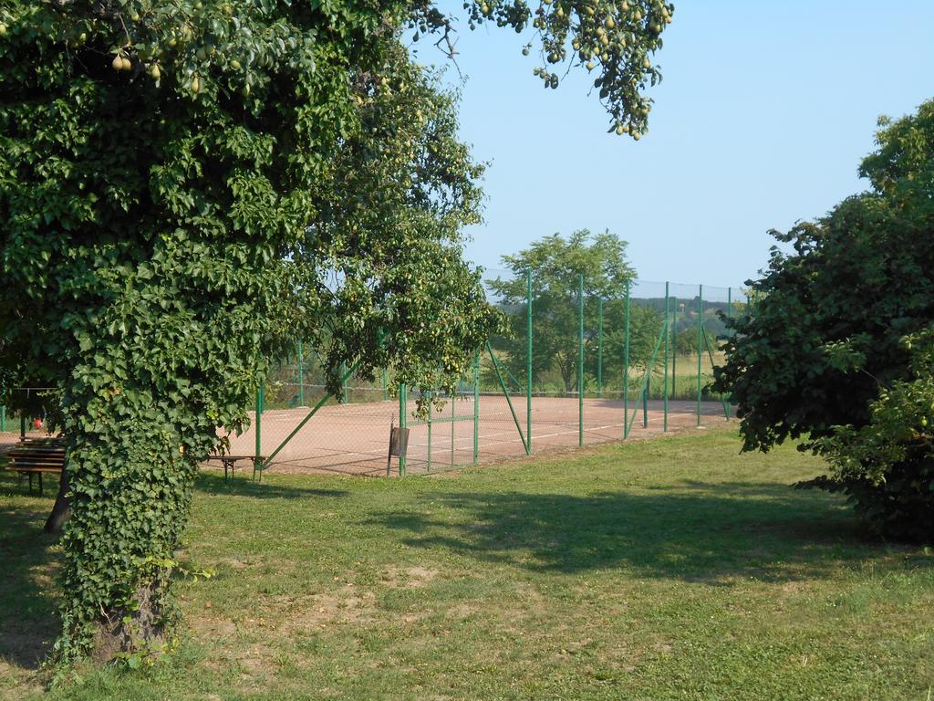 Borostyánkert Étterem&Vendégház Sitke Esterno foto