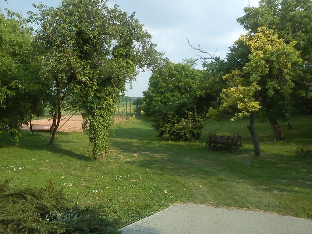 Borostyánkert Étterem&Vendégház Sitke Esterno foto